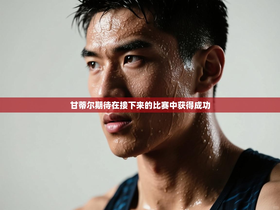 甘蒂尔期待在接下来的比赛中获得成功  第1张