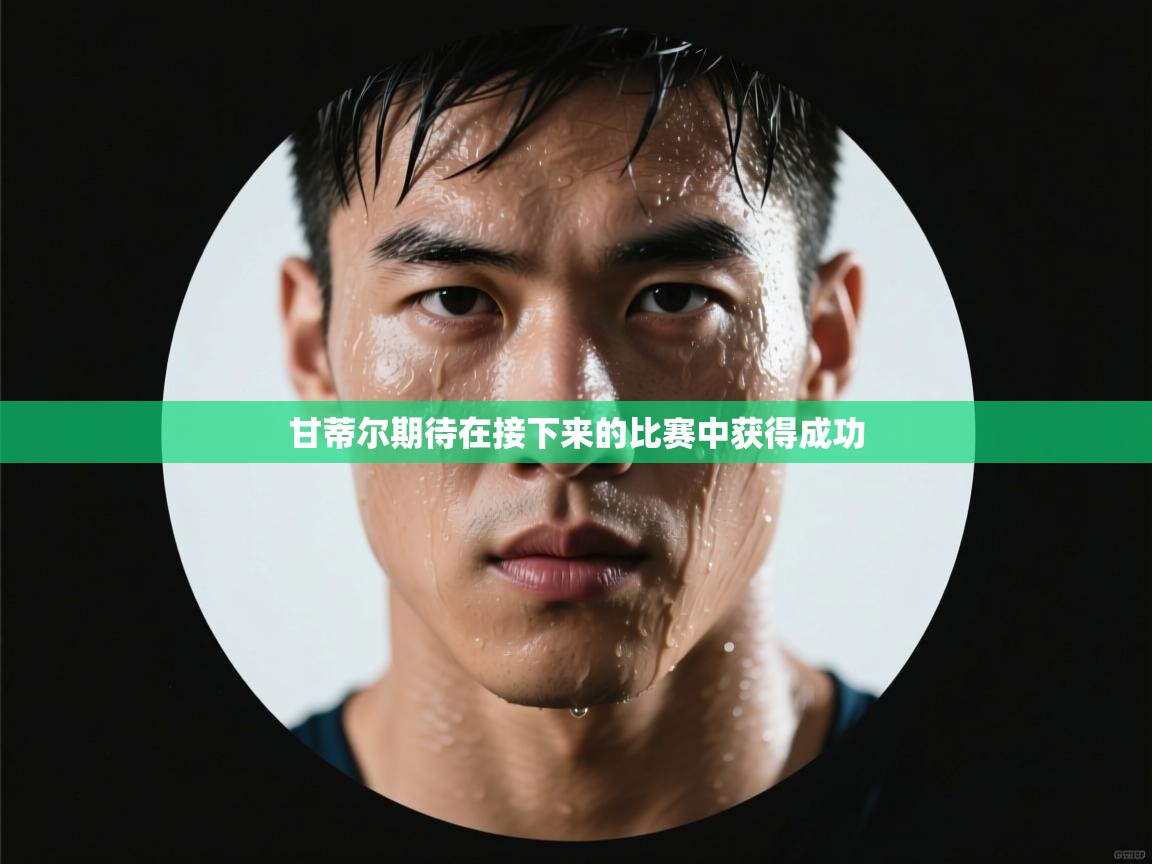 甘蒂尔期待在接下来的比赛中获得成功  第2张