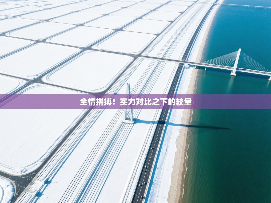 全情拼搏！实力对比之下的较量  第1张
