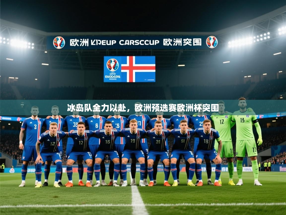 冰岛队全力以赴，欧洲预选赛欧洲杯突围  第1张